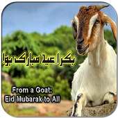 Bakra Eid Photo Frames 2018 on 9Apps