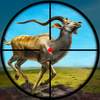 Wild Animals Hunting Games 3D