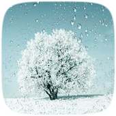 Sonwing Tree Live wallpaper on 9Apps
