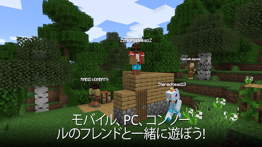 Minecraft screenshot 7