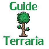 Guide For Terraria
