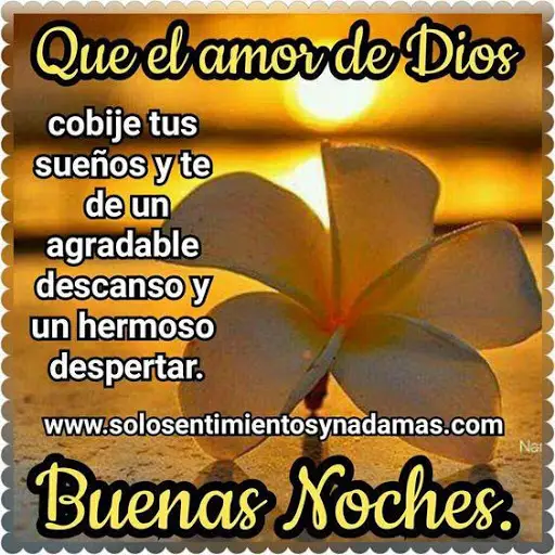 Buenas noches imágenes Gifs animados App Download 2023 - Gratis - 9Apps Buenas noches imágenes Gifs animados App Download 2023 - Gratis - 9Apps
