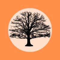 MyHeritage Guide - FamilyTree