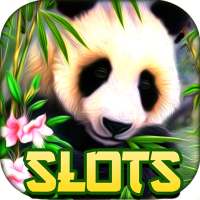 Panda Slot - Wild Win Bonanza