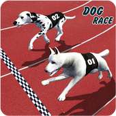 Crazy Greyhound Dog Racing