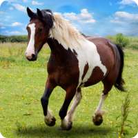 घोड़ों की दौड़ 2020 - घोड़े के जीवित रहने का खेल