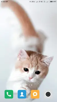 Cute Cat Wallpaper HD APK Download 2023 - Free - 9Apps