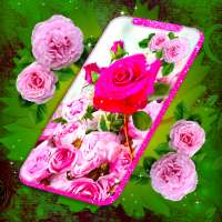 Pink Rose 4K Live Wallpaper on 9Apps