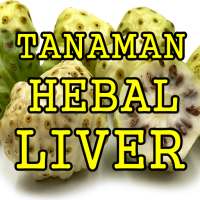 Ramuan Herbal Liver Yang Paling Ampuh Dan Manjur on 9Apps