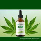 CBD Oil for you