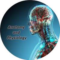 Anatomy and Physiology App