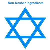 Non Kosher Additives on 9Apps