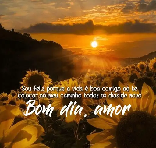 Download do aplicativo Bom Dia Amor 2023 - Grátis - 9Apps Download do aplicativo Bom Dia Amor 2023 - Grátis - 9Apps