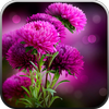 Live Wallpaper - Flowers icon