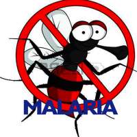 Malaria Disease on 9Apps