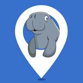 I Spy a Manatee on 9Apps