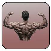 GYM WORKOUT GUIDE FITNESS on 9Apps