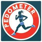 Pedometer Pro on 9Apps
