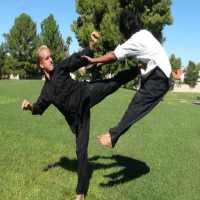 Shaolin kungfu techniques