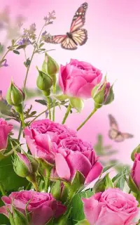 Tải xuống ứng dụng HD Rose Flowers Live Wallpaper 2023 - Miễn phí - 9Apps