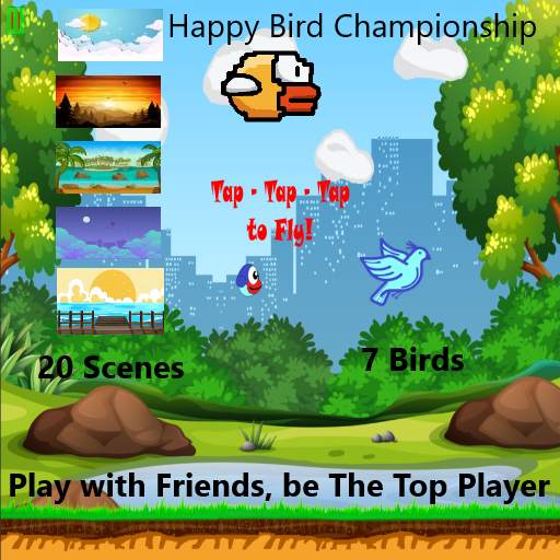 Happy Bird Championship