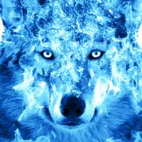 Ice Fire Wolf Wallpaper on 9Apps