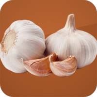 Garlic Health Benefits