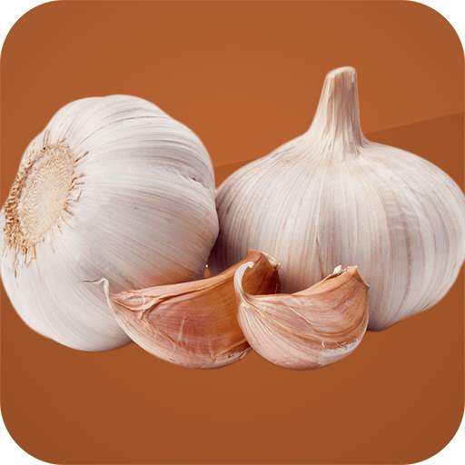 Amazing Benefits of Garlic