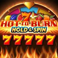 Hot to Burn Hold and Spin Slot