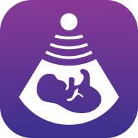 Schwangerschafts-Tracker