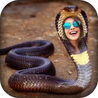 Snake Photo Frame on 9Apps