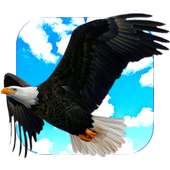 Flying Eagle Live Wallpaper