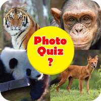 Animale quiz: indovinare il quiz pic gioco