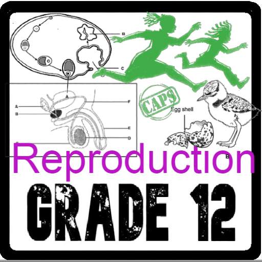 Grade 12 Reproduction | Life Science