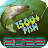 World of Fishers, Fishing game on 9Apps