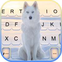 Snowy Wolf कीबोर्ड पृष्ठभूमि
