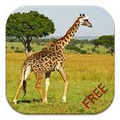 Giraffe Game Puzzle