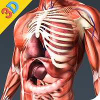 Human Anatomy And Physiology on 9Apps