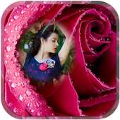 RED ROSE PHOTO FRAME HD-Photo frame editor suit on 9Apps