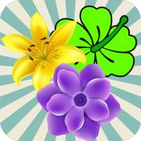 Blossom Garden Crush - New Flower Game Mania 2020