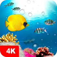 Descarga de la aplicación Fondos de pantalla con pez 4K 2023 - Gratis - 9Apps Descarga de la aplicación Fondos de pantalla con pez 4K 2023 - Gratis - 9Apps
