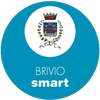 Brivio Smart