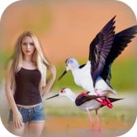 Bird Photo Editor - advanced flying photography