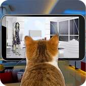 Cat Vision Camera Simulator