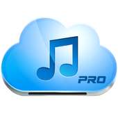 Music Paradise Downloader