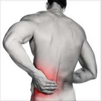 Back Pain Exercises