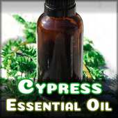 Benefits of Cypress Essential Oil on 9Apps