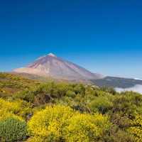 P.N. del Teide on 9Apps