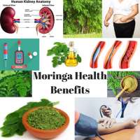 MORINGA HEALTH BENEFITS - THE MIRACLE TREE on 9Apps