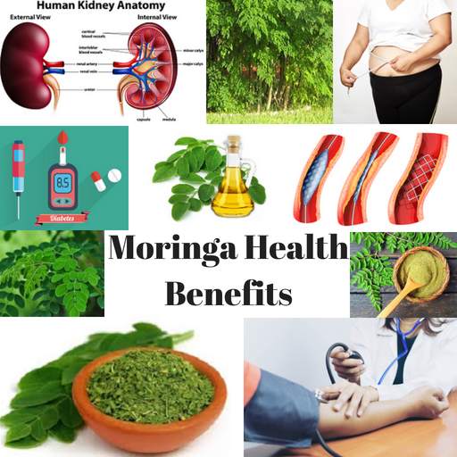 MORINGA HEALTH BENEFITS - THE MIRACLE TREE